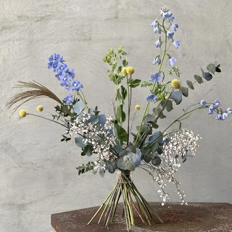 Spiral Ikebana Stem Holder Stu - Ikebana Vase Kenzan review and price