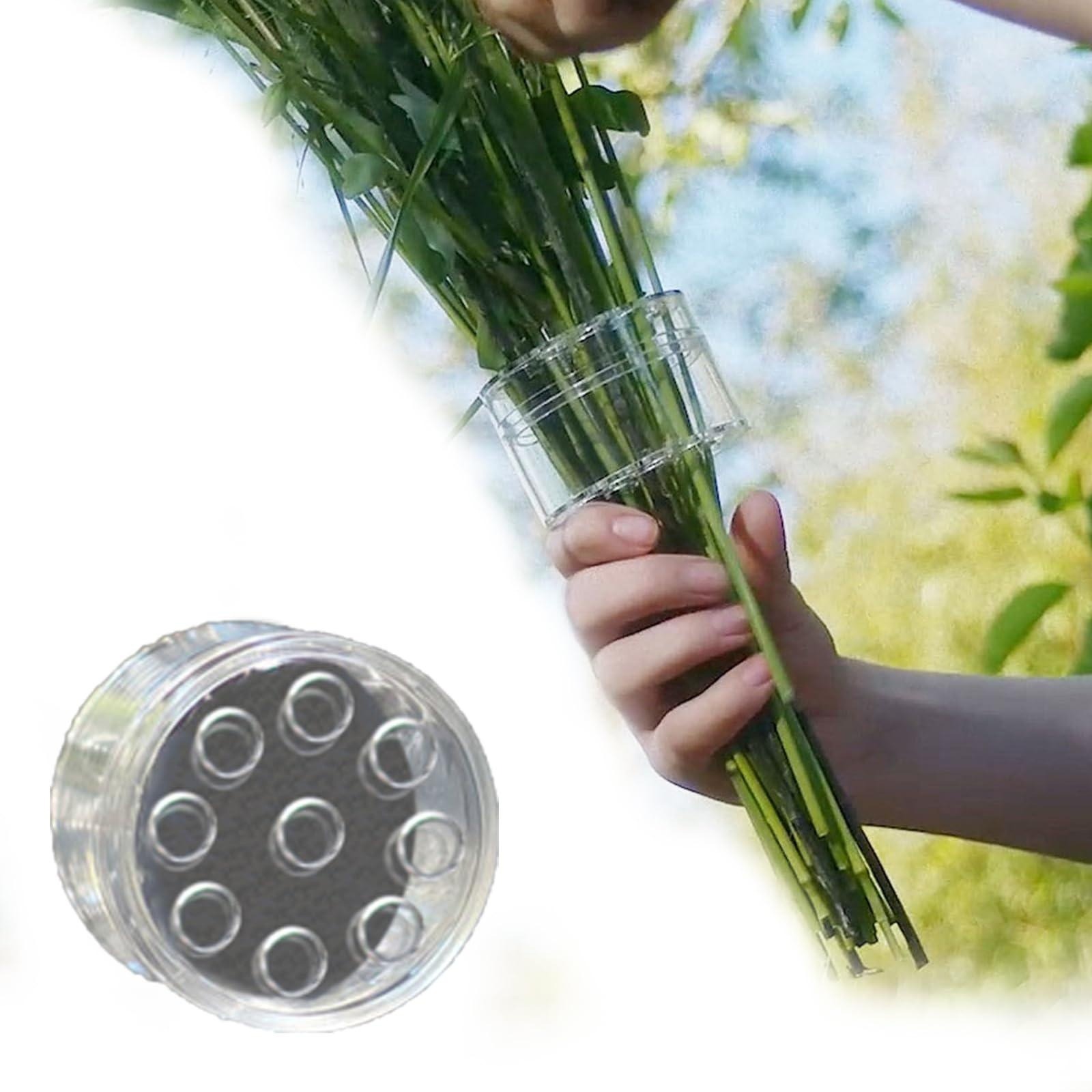Spiral Ikebana Stem Holder for - Ikebana Vase Kenzan review and price