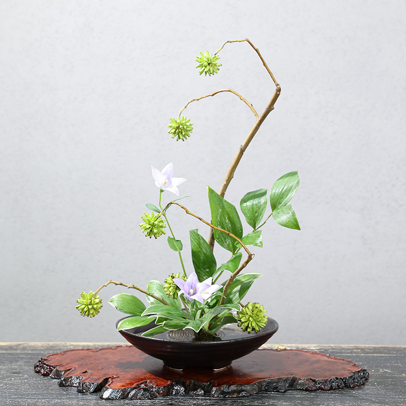 Japanese Frog Vase Ceramic Bou - Ikebana Vase Kenzan review and price