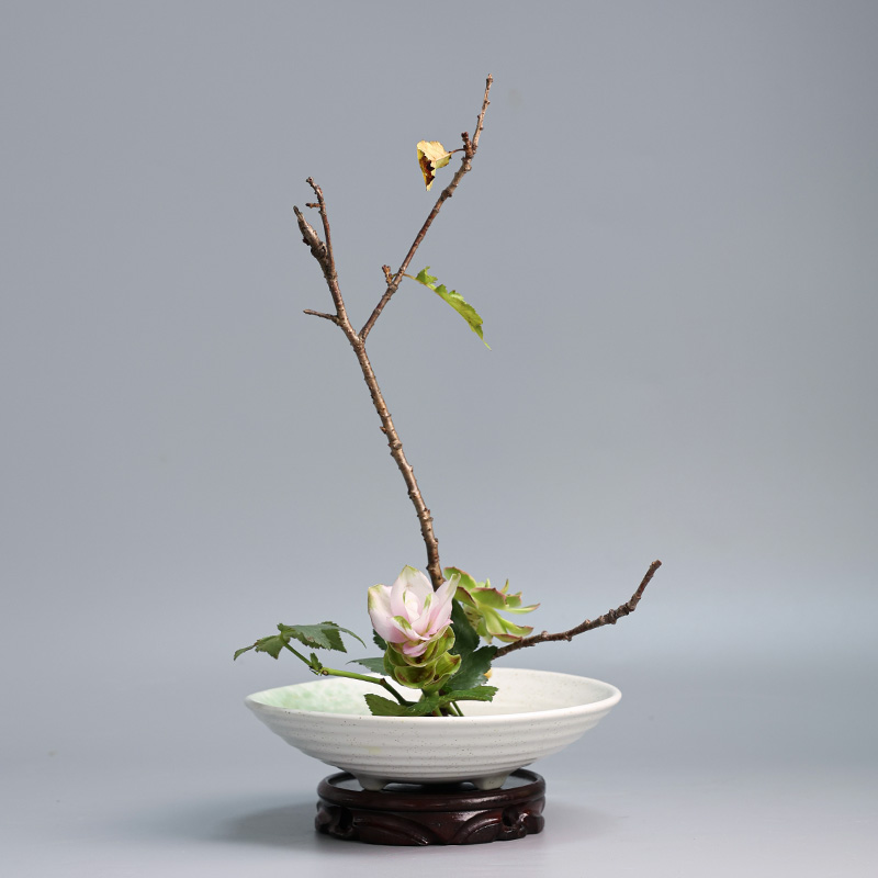 Japanese Frog Vase Ceramic Bou - Ikebana Vase Kenzan review and price