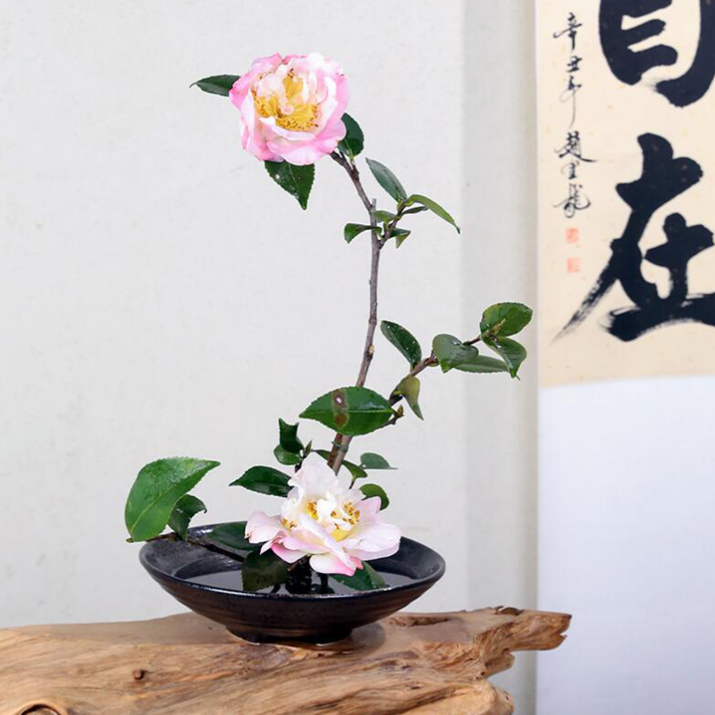 Japanese Frog Vase Ceramic Bou - Ikebana Vase Kenzan review and price